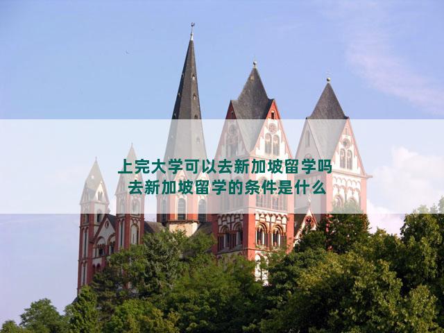 上完大学可以去新加坡留学吗 去新加坡留学的条件是什么